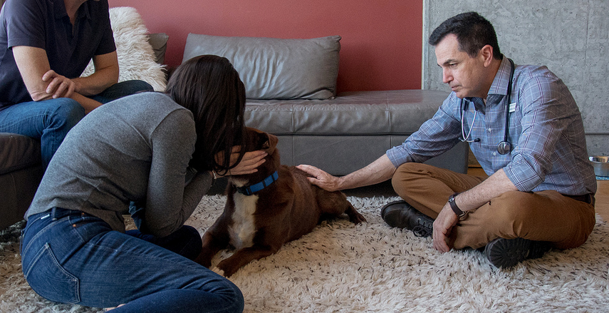 Dog euthanasia home deals visit